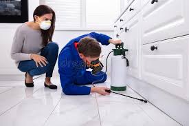 Best Indoor Pest Control  in Freeburg, IL